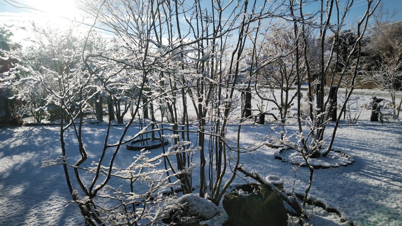 �߉ώsnmo�E�H�����|